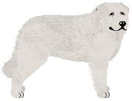 Profile image of Polka MÓZG WOLI KOMPROMIS