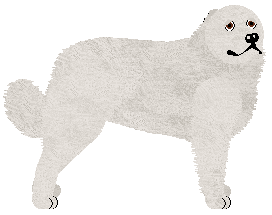 Profile image of Polka SERCE MÓWI POWSTANIE