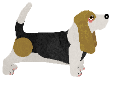 Converse PODRÓŻNIK W CZASIE — “Podróżnik”