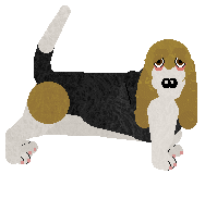 Profile image of Converse PODRÓŻNIK W CZASIE