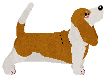 Converse TURN BACK TIME — “Cher”