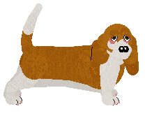 Profile image of Converse TURN BACK TIME