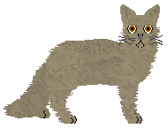 Pins'n'Needles' THE ONLY EXCEPTION — “Exception”