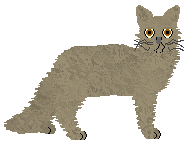 Pins'n'Needles' THE ONLY EXCEPTION — “Exception”