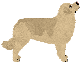 Jagger von Guardian — “Jagger”