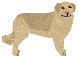 Profile image of Jagger von Guardian