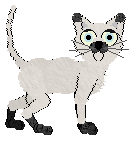 King/Witz's Natural Heat — “Agador Spartacus”