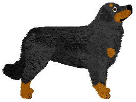 Mika von Guardian — “Mika”