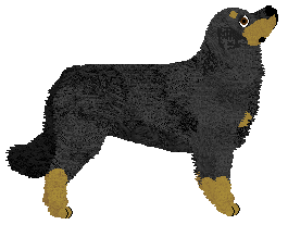 Dragosani LAST GUARDIAN — “Elm”