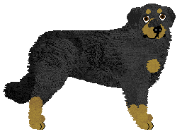 Profile image of Dragosani LAST GUARDIAN