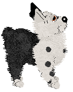 Mockingbird's Tater Tot at Chachke — “Tater”