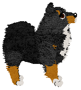 Tähti Fox On The Run — “Nella”