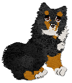 Profile image of Tähti Fox On The Run