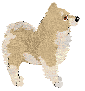 Tähti White Flower — “Lilja”