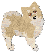 Profile image of Tähti White Flower