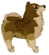 Tähti Friendly Fire — “Onni”