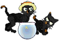 Profile image of King/Witz's The 'A' and the 'S' Scraped Off