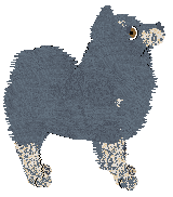 Tähti Ghostly Guy — “Kasper”