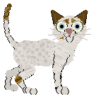 Cargo's Beau Vallon Bay at Fleur de Lis — “Mahé”