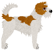 Dragosani MAŁY BLADY PŁOMYK — “Płomień”