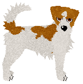 Profile image of Dragosani MAŁY BLADY PŁOMYK