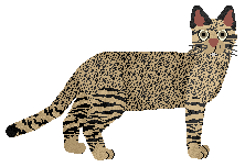 SECHE Możesz być kim chcesz — “Alibuka”