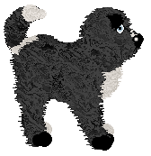 King's Uncharted Waters at Perfume — “Boof”