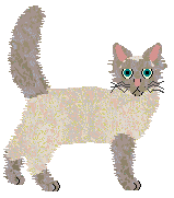 Cymophane Seasonal Kettle — “Slough”