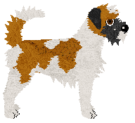 Dragosani NIC NIE TRWA WIECZNIE — “Zapałka”