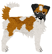 Profile image of Dragosani NIC NIE TRWA WIECZNIE