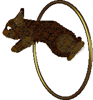 HUNCWOCI Zgredek — “Zgredek”