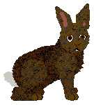 HUNCWOCI Zgredek — “Zgredek”