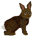 HUNCWOCI Zgredek — “Zgredek”