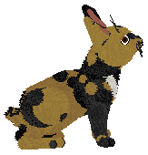 HUNCWOCI Wingardium Leviosa — “Hermiona”