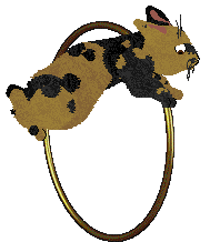 HUNCWOCI Wingardium Leviosa — “Hermiona”