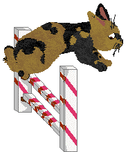 HUNCWOCI Wingardium Leviosa — “Hermiona”