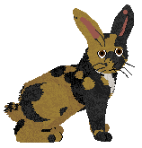 HUNCWOCI Wingardium Leviosa — “Hermiona”