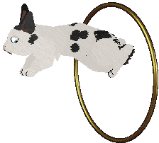 HUNCWOCI Lunatyk — “Loony”