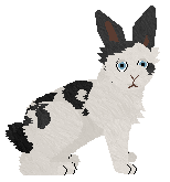 HUNCWOCI Lunatyk — “Loony”