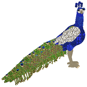 HUNCWOCI Felix Felicis — “Feliks”