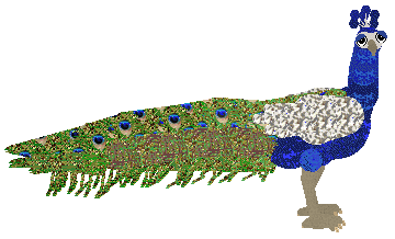 HUNCWOCI Felix Felicis — “Feliks”