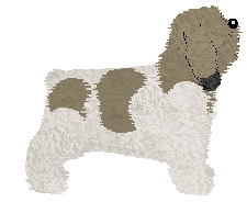 Polka Pustelnik — “Jano”