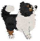 Moonvale's Grand Tourer at Aura — “Aston”