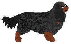 Converse ZABAWECZKA — “Zabaweczka”