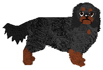 Profile image of Converse ZABAWECZKA