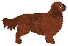 Converse TOY MACHINE — “Toy”