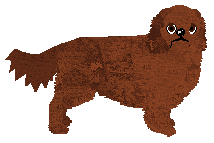 Profile image of Converse TOY MACHINE