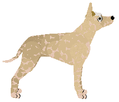 Dragosani SKAZANY NA BLUESA — “Ignaś”