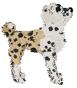 Poppyhill/APK's Taking The Heat Off — “Dippin”