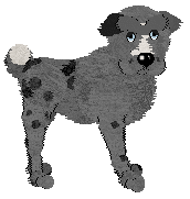 Chachke/Arrow's Big Fish — “Dart”